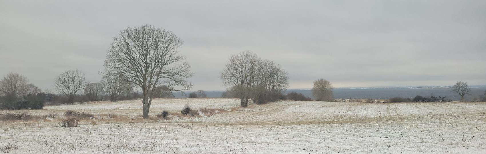 Pale winter mist over the Ærø landscape