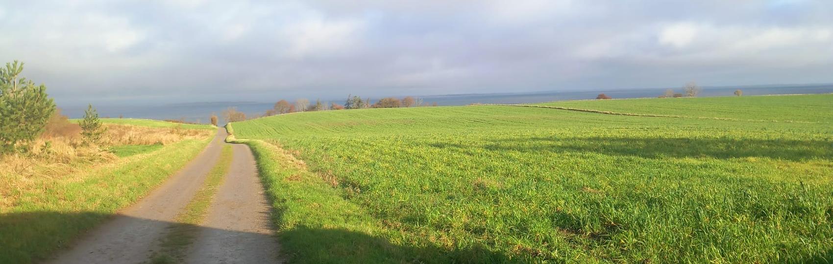 A farm track running downhill between green fields toward the sea on Ærø