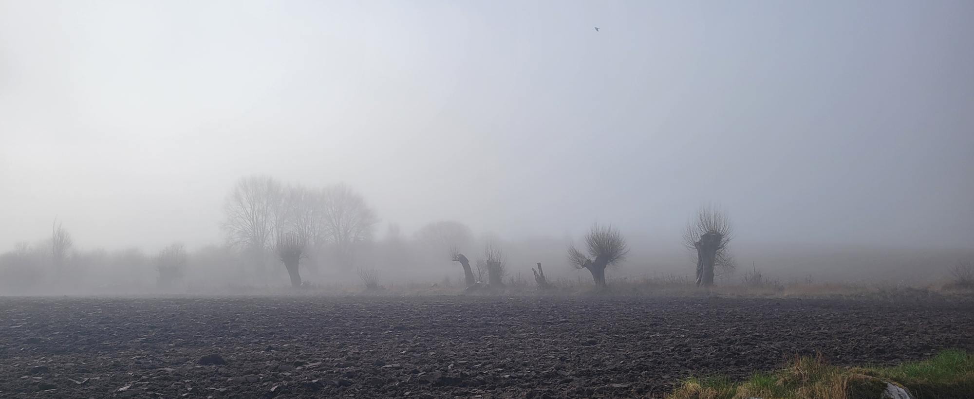 Wide morning sky over open land on Ærø
